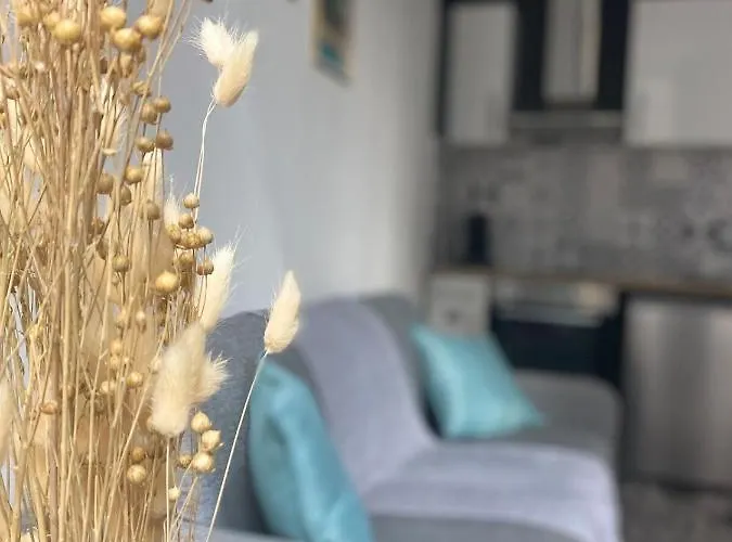 דירה Le Rituel St Maclou, Hyper Centre Vue Sur Eglise רואן